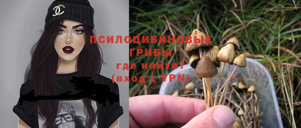 СК Богородицк