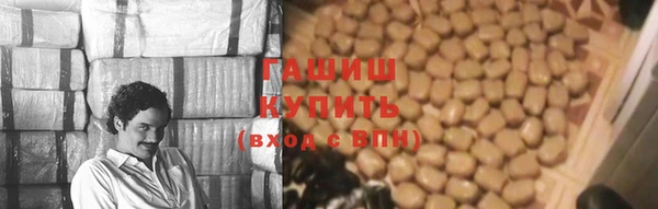 дмт Богданович