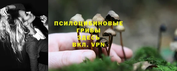 СК Богородицк