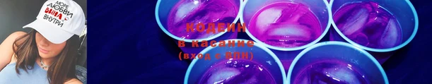 дмт Богданович