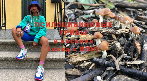 гидропоника Богородск