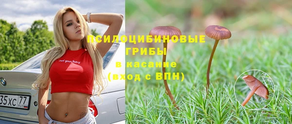СК Богородицк