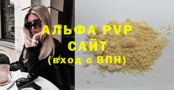 дмт Богданович