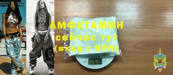 дмт Богданович
