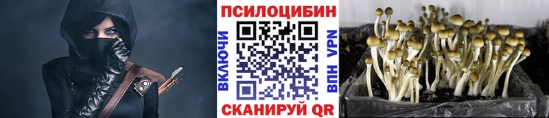 Псилоцибиновые грибы прущие грибы  Брянск 